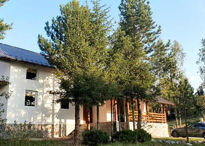 Mountain House Mijola ズラティボール